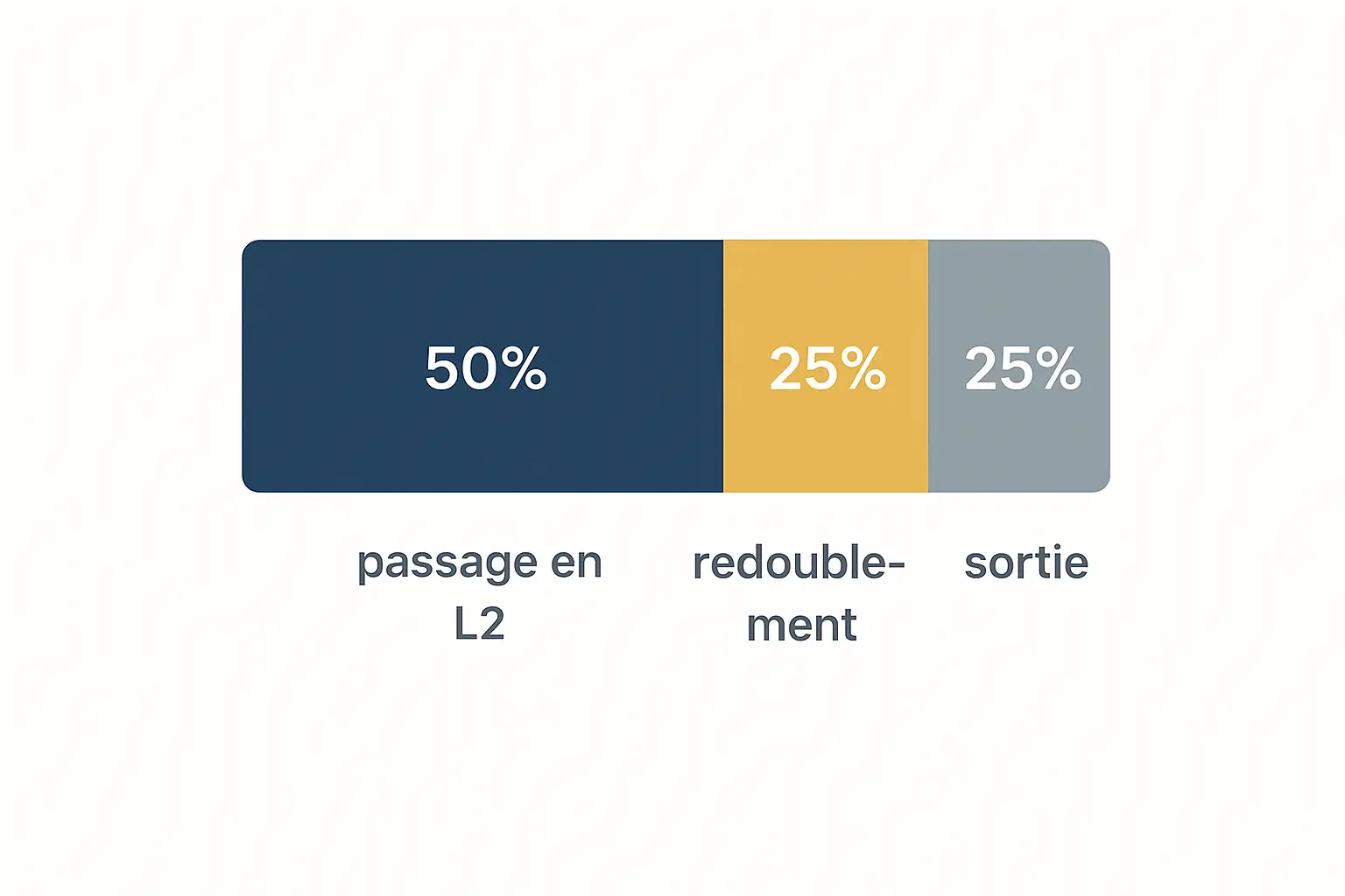 Répartition des néo-bacheliers en L1 à la session 2023 : 47,8 % passent en L2, ~25 % redoublent, ~27 % sortent de l'université — données MESR-SIES Note Flash n°30, novembre 2024